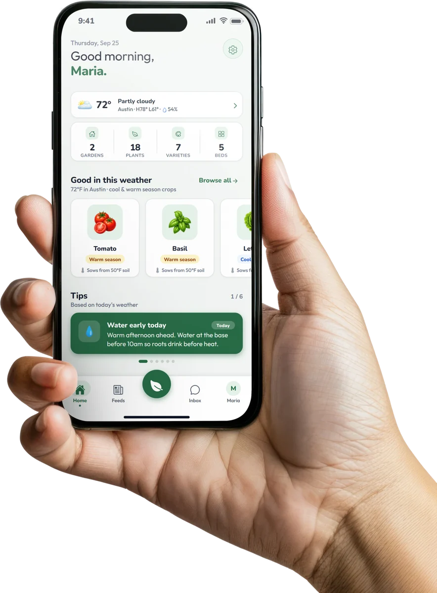 Hand holding a phone showing the HolaGrower home screen